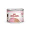 Royal Canin Mother & Babycat Mousse 離乳貓及母貓營養主食罐 (慕絲) 195g